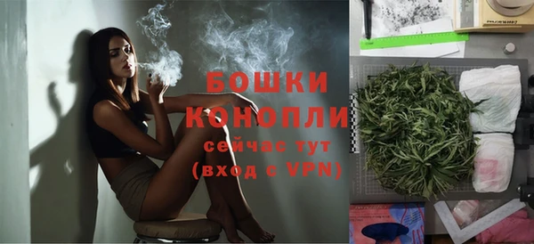 индика Балабаново
