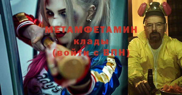 индика Балабаново