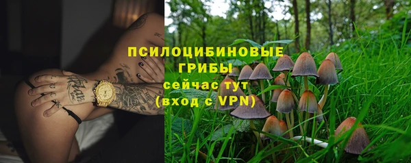 СК Балахна